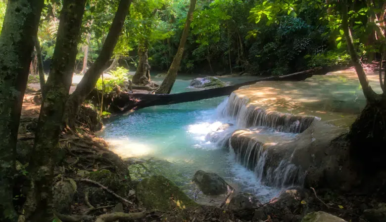 Natürlicher Regenwald mit Wasserfall